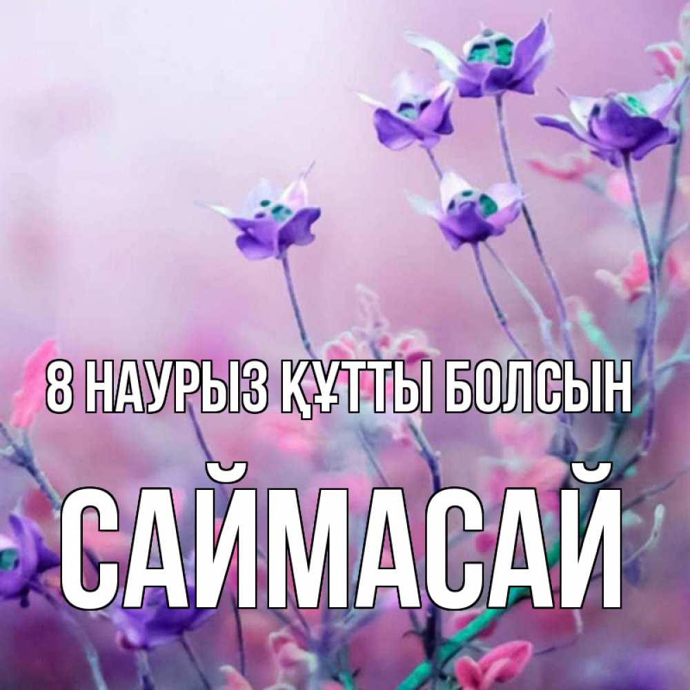 Күн сайын ашық хат с именем, САЙМАСАЙ 8 наурыз құтты болсын международный женский день 2 Онлайн тегін жүктеп алу тілектері бар керемет карта 