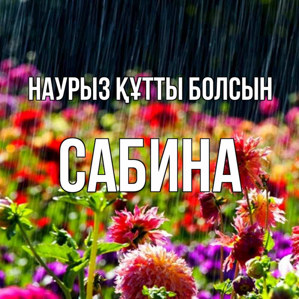 Күн сайын ашық хат с именем, Сабина Наурыз құтты болсын цветы под дождиком к наурызу Онлайн тегін жүктеп алу тілектері бар керемет карта 