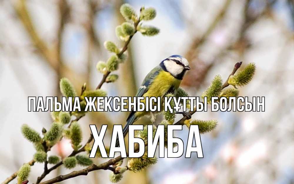 Күн сайын ашық хат с именем, ХАБИБА Пальма жексенбісі құтты болсын верба Онлайн тегін жүктеп алу тілектері бар керемет карта 