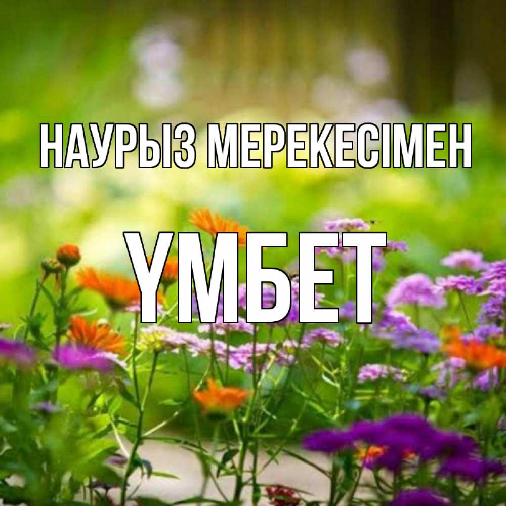 Күн сайын ашық хат с именем, ҮМБЕТ Наурыз мерекесімен цветы Онлайн тегін жүктеп алу тілектері бар керемет карта 