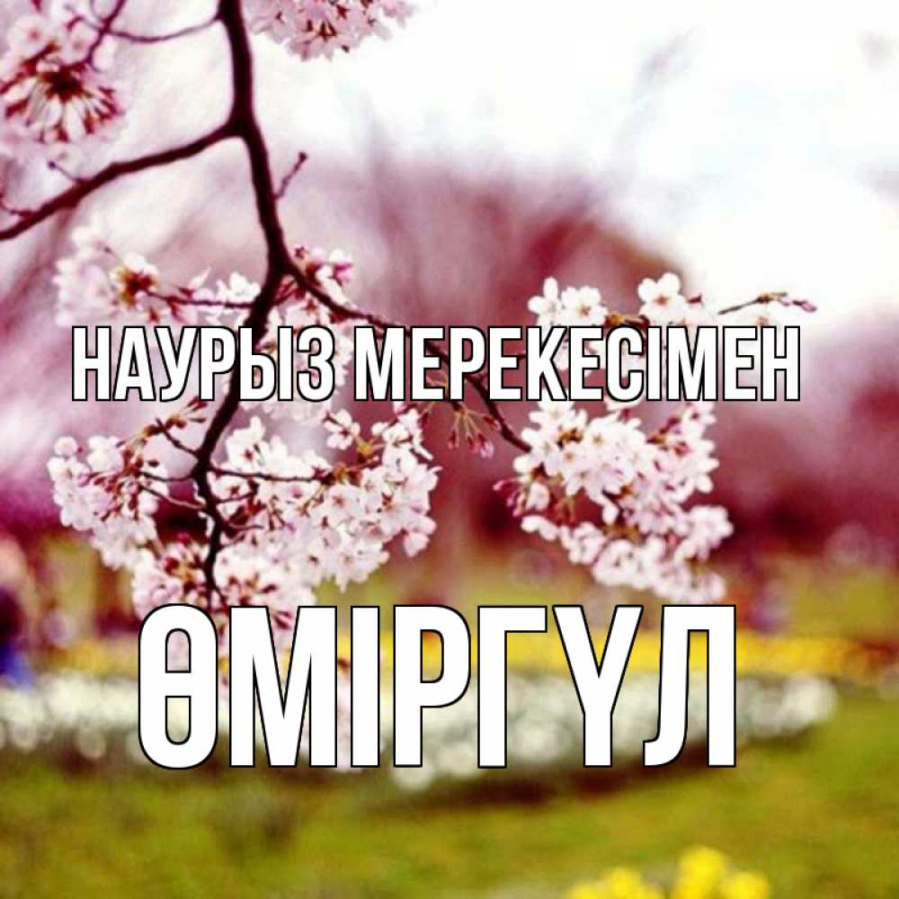 Күн сайын ашық хат с именем, ӨМІРГҮЛ Наурыз мерекесімен яблоня Онлайн тегін жүктеп алу тілектері бар керемет карта 