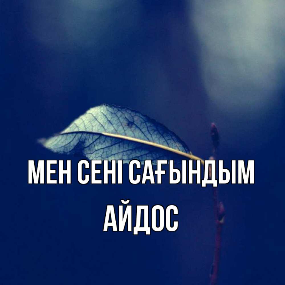 Күн сайын ашық хат с именем, Айдос Мен сені сағындым одна ветка 1 Онлайн тегін жүктеп алу тілектері бар керемет карта 