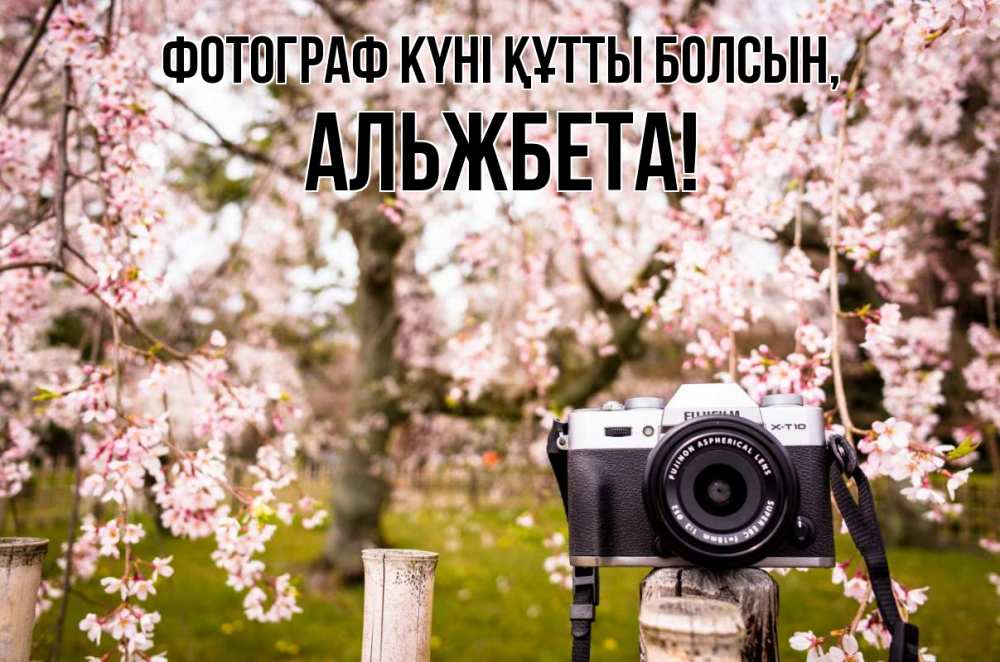 Күн сайын ашық хат с именем, Альжбета Фотограф күні құтты болсын сирень с днем фотографа, фотоаппарат Онлайн тегін жүктеп алу тілектері бар керемет карта 