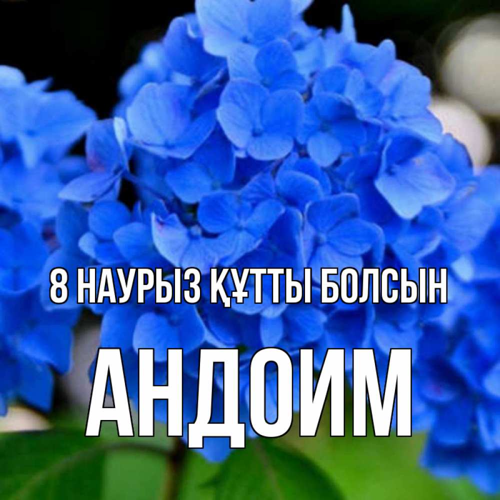 Күн сайын ашық хат с именем, Андоим 8 наурыз құтты болсын синие цветы Онлайн тегін жүктеп алу тілектері бар керемет карта 