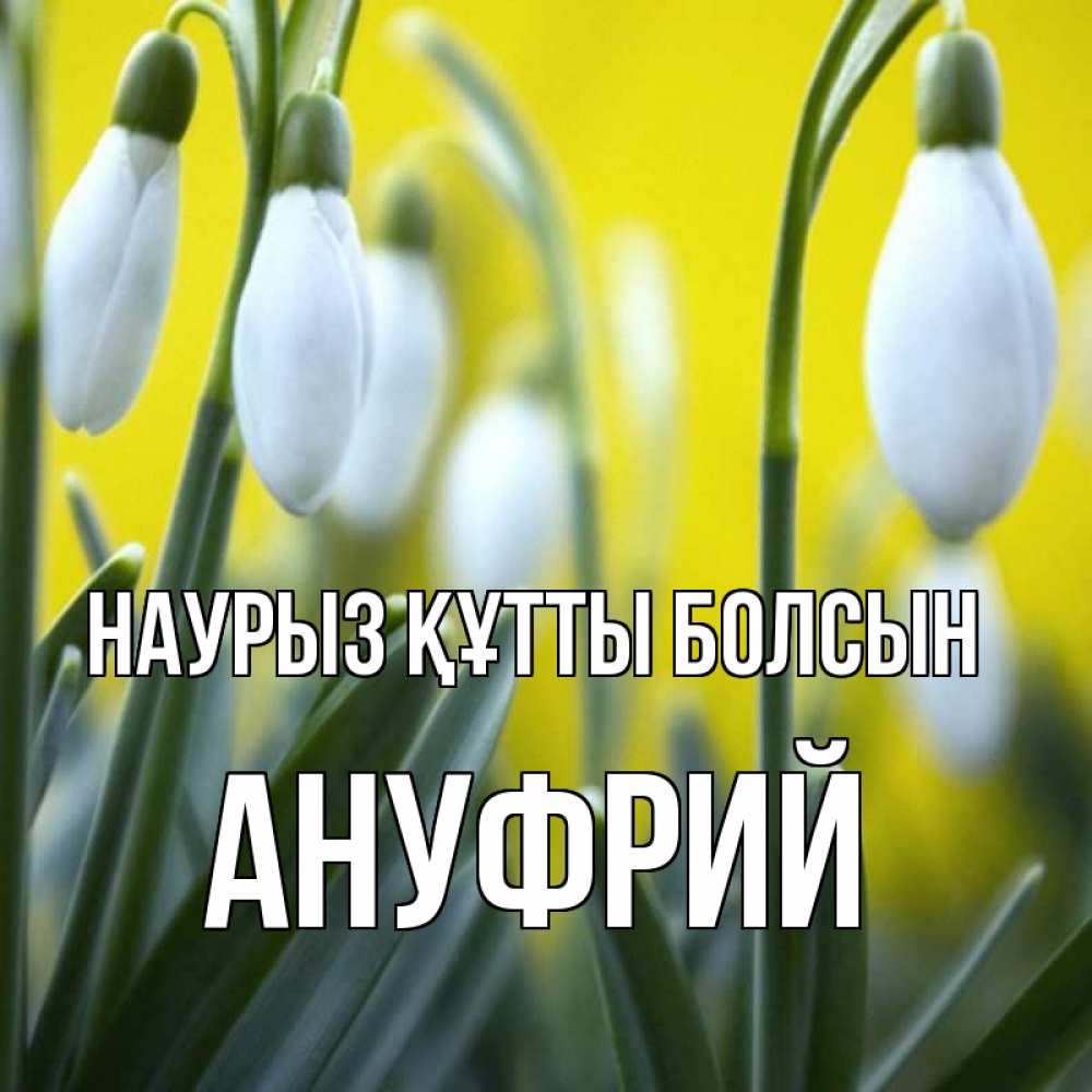 Күн сайын ашық хат с именем, Ануфрий Наурыз құтты болсын весенние цветы Онлайн тегін жүктеп алу тілектері бар керемет карта 