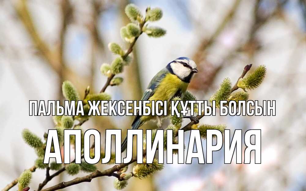 Күн сайын ашық хат с именем, Аполлинария Пальма жексенбісі құтты болсын верба Онлайн тегін жүктеп алу тілектері бар керемет карта 