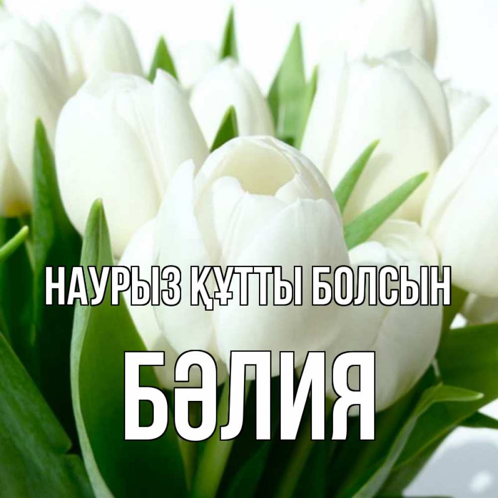 Күн сайын ашық хат с именем, БӘЛИЯ Наурыз құтты болсын цветы Онлайн тегін жүктеп алу тілектері бар керемет карта 