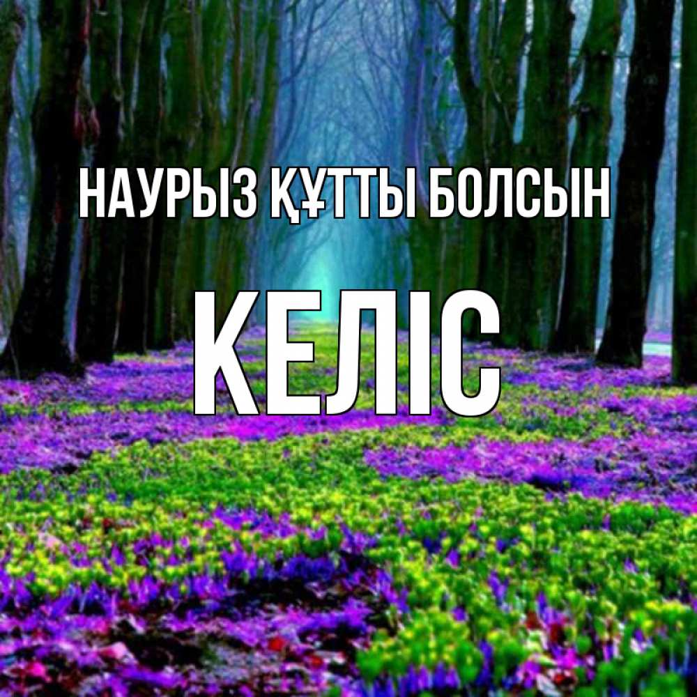 Күн сайын ашық хат с именем, Келіс Наурыз құтты болсын фиолетовые цветы в лесу 1 Онлайн тегін жүктеп алу тілектері бар керемет карта 