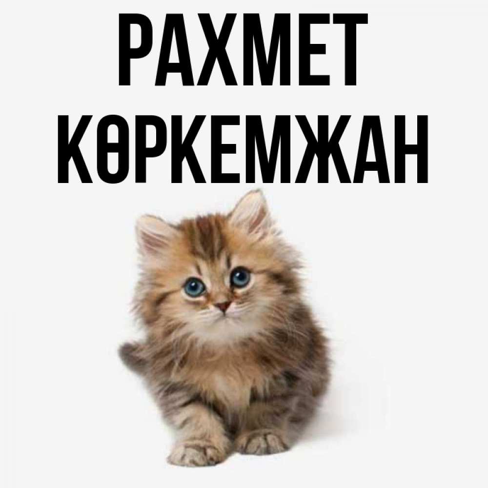 Күн сайын ашық хат с именем, Көркемжан рахмет пушистый котик Онлайн тегін жүктеп алу тілектері бар керемет карта 