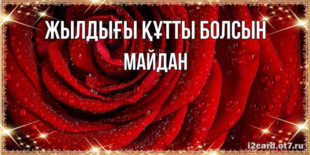 Күн сайын ашық хат с именем, МАЙДАН Жылдығы құтты болсын роса на розе блестящая в лучах солнца Онлайн тегін жүктеп алу тілектері бар керемет карта 