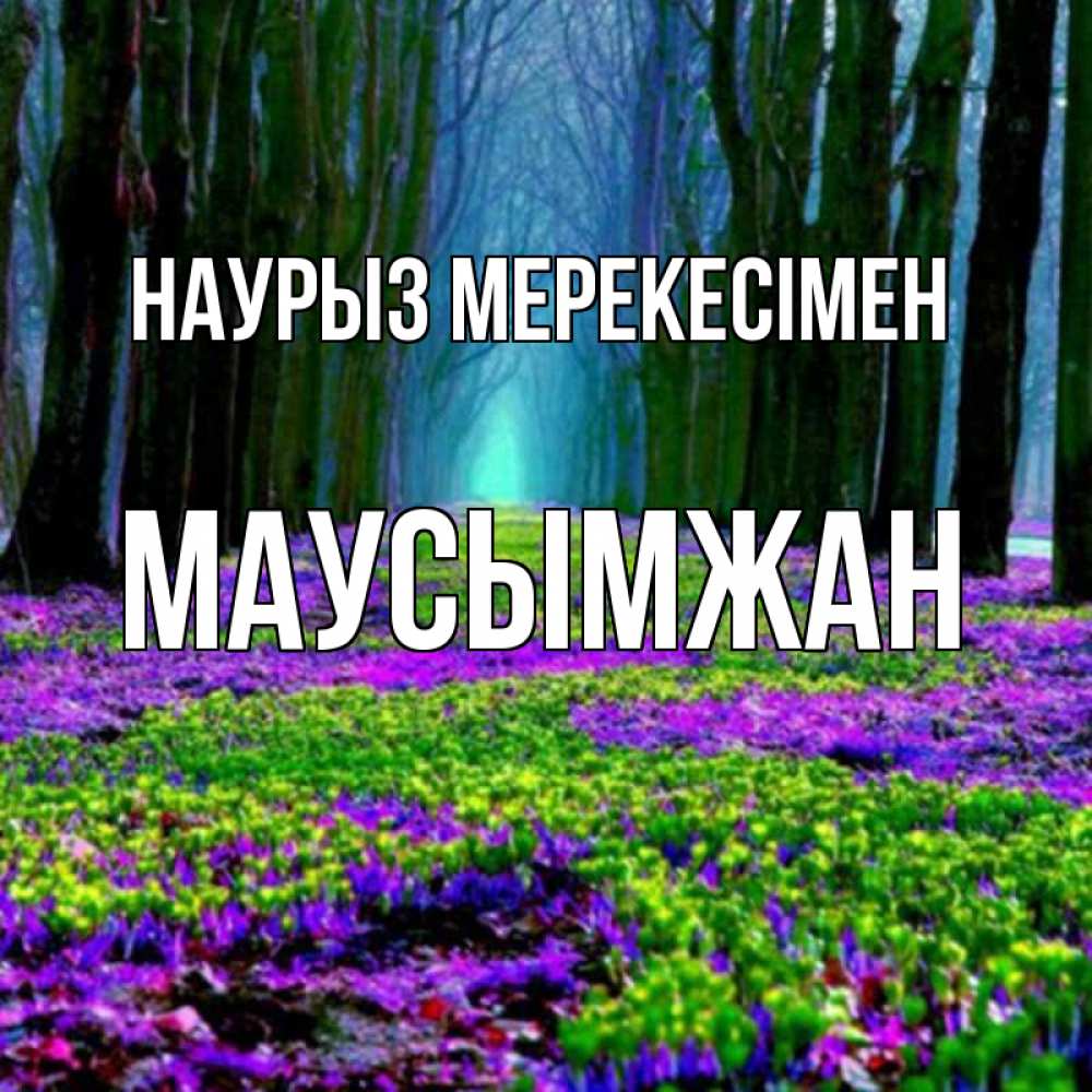 Күн сайын ашық хат с именем, МАУСЫМЖАН Наурыз мерекесімен фиолетовые цветы в лесу 1 Онлайн тегін жүктеп алу тілектері бар керемет карта 