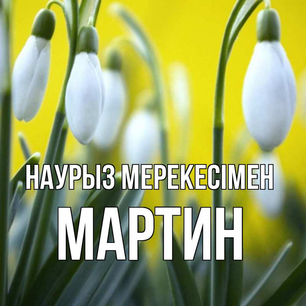 Күн сайын ашық хат с именем, Мартин Наурыз мерекесімен весенние цветы Онлайн тегін жүктеп алу тілектері бар керемет карта 