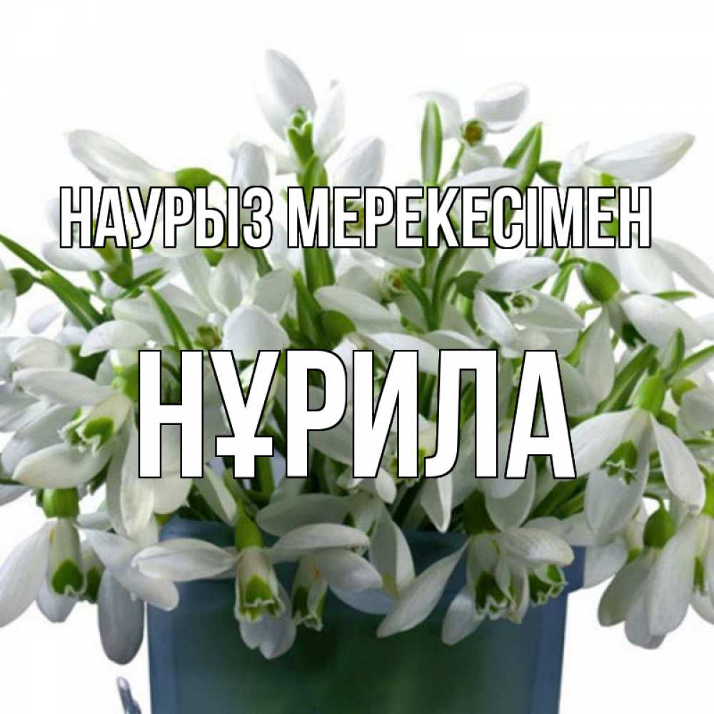 Күн сайын ашық хат с именем, НҰРИЛА Наурыз мерекесімен цветы к наурызу новый год в Казахстане Онлайн тегін жүктеп алу тілектері бар керемет карта 