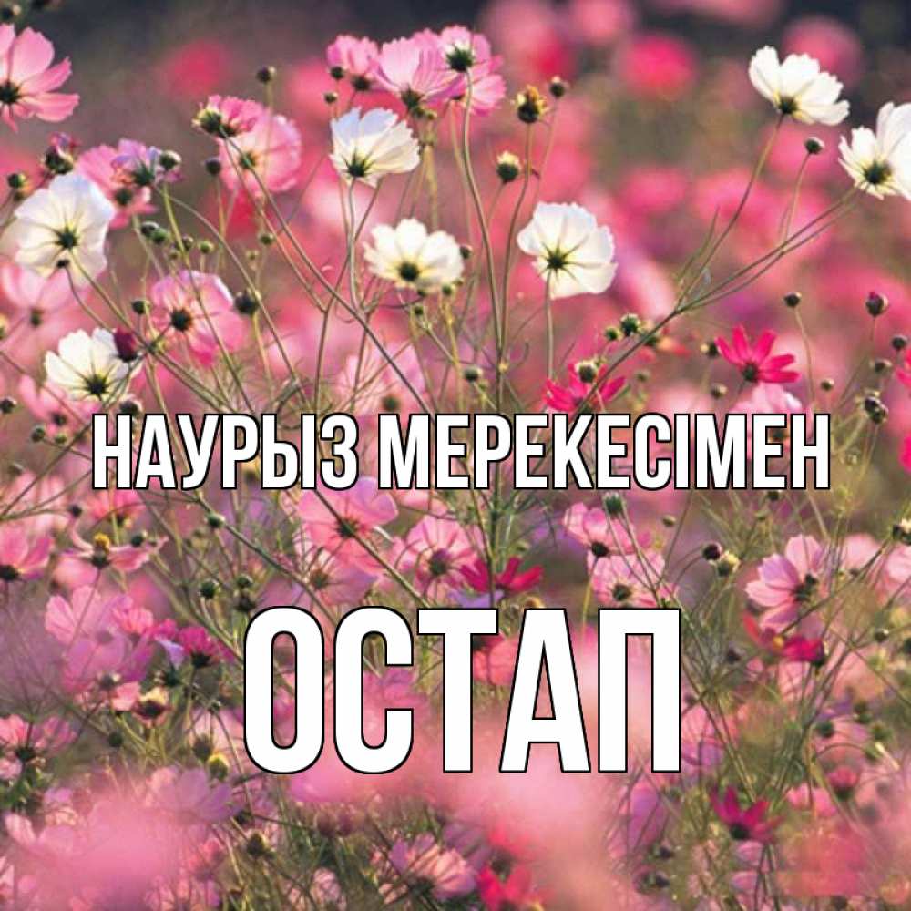 Күн сайын ашық хат с именем, Остап Наурыз мерекесімен красиво 1 Онлайн тегін жүктеп алу тілектері бар керемет карта 