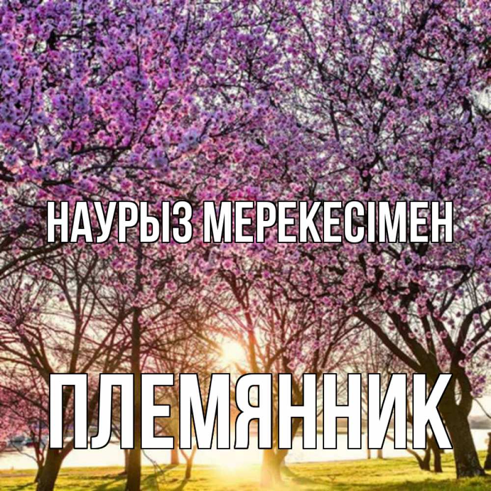 Күн сайын ашық хат с именем, Племянник Наурыз мерекесімен праздник весны наурыз Онлайн тегін жүктеп алу тілектері бар керемет карта 