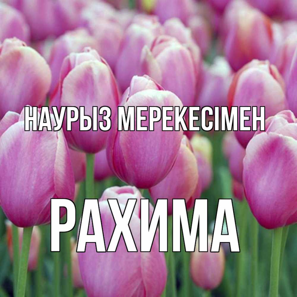 Күн сайын ашық хат с именем, РАХИМА Наурыз мерекесімен праздник весны наурыз 69 Онлайн тегін жүктеп алу тілектері бар керемет карта 