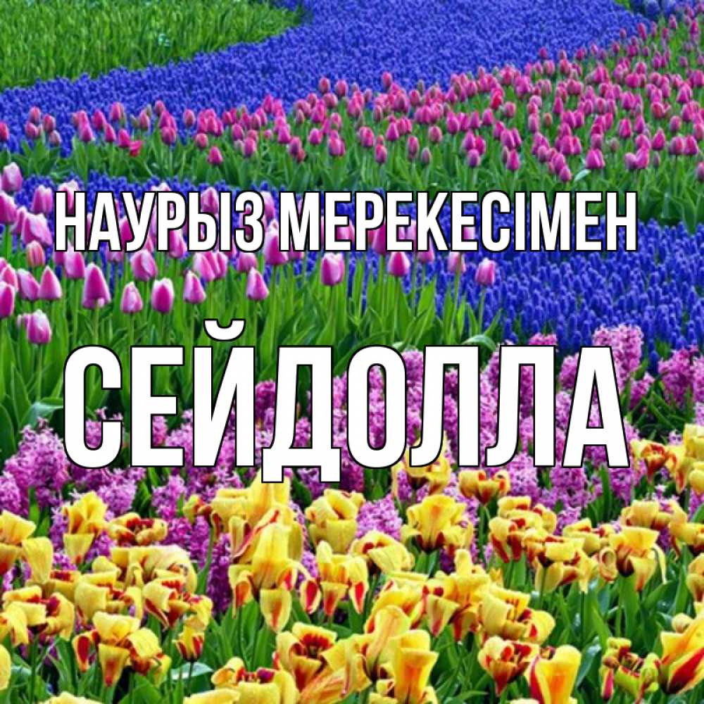 Күн сайын ашық хат с именем, СЕЙДОЛЛА Наурыз мерекесімен цветы Онлайн тегін жүктеп алу тілектері бар керемет карта 
