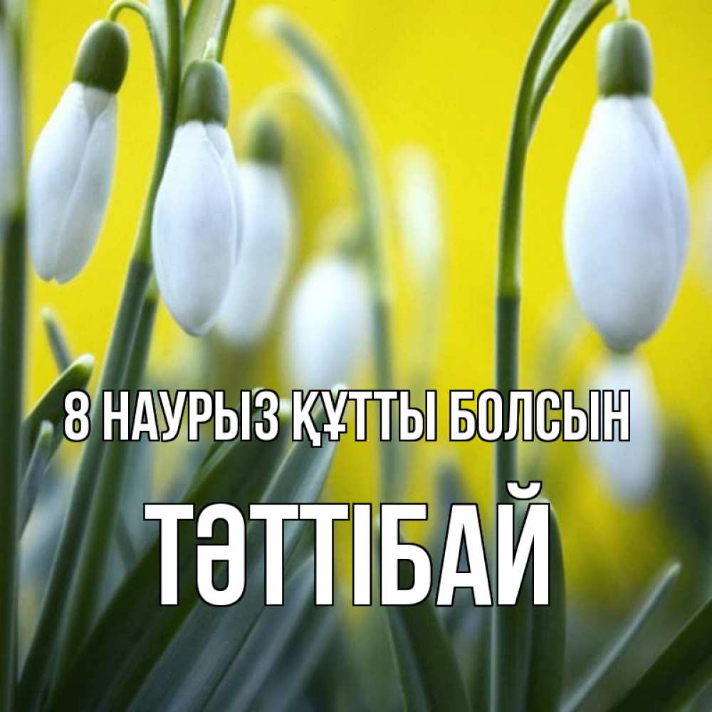 Күн сайын ашық хат с именем, ТӘТТІБАЙ 8 наурыз құтты болсын весенние цветы Онлайн тегін жүктеп алу тілектері бар керемет карта 