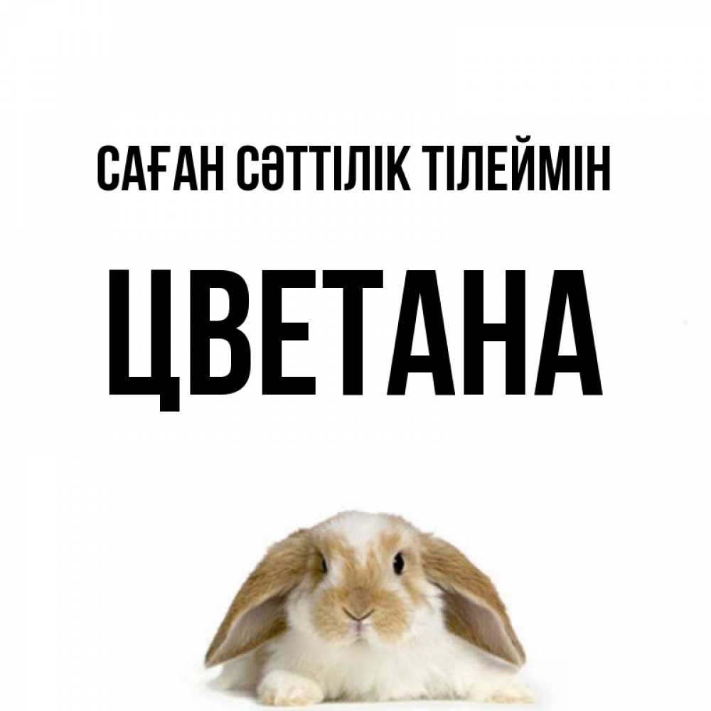 Күн сайын ашық хат с именем, Цветана Саған сәттілік тілеймін открытки с произвольным текстом который можно вставить в открытку и создать ее самостоятельно бесплатно онлайн Онлайн тегін жүктеп алу тілектері бар керемет карта 