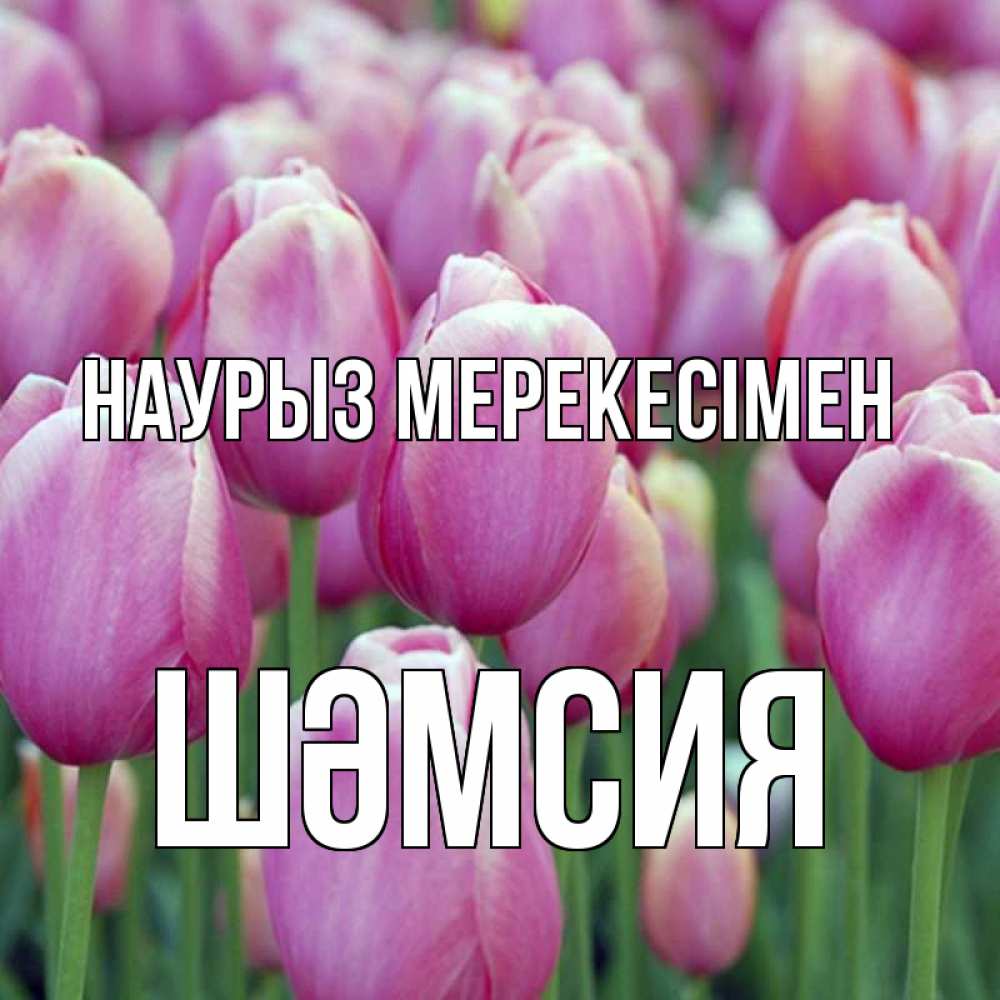 Күн сайын ашық хат с именем, ШӘМСИЯ Наурыз мерекесімен праздник весны наурыз 69 Онлайн тегін жүктеп алу тілектері бар керемет карта 