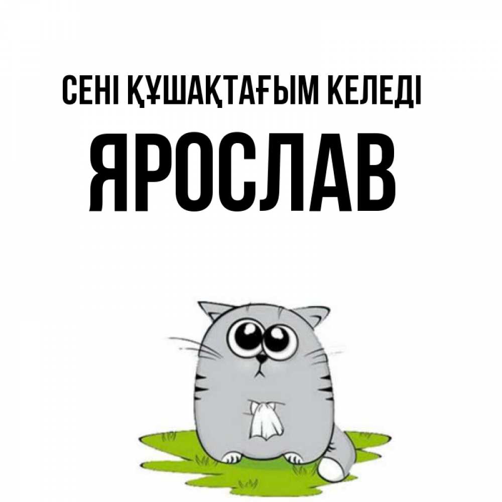Күн сайын ашық хат с именем, Ярослав сені құшақтағым келеді котик теребит платочек сидя на травке Онлайн тегін жүктеп алу тілектері бар керемет карта 