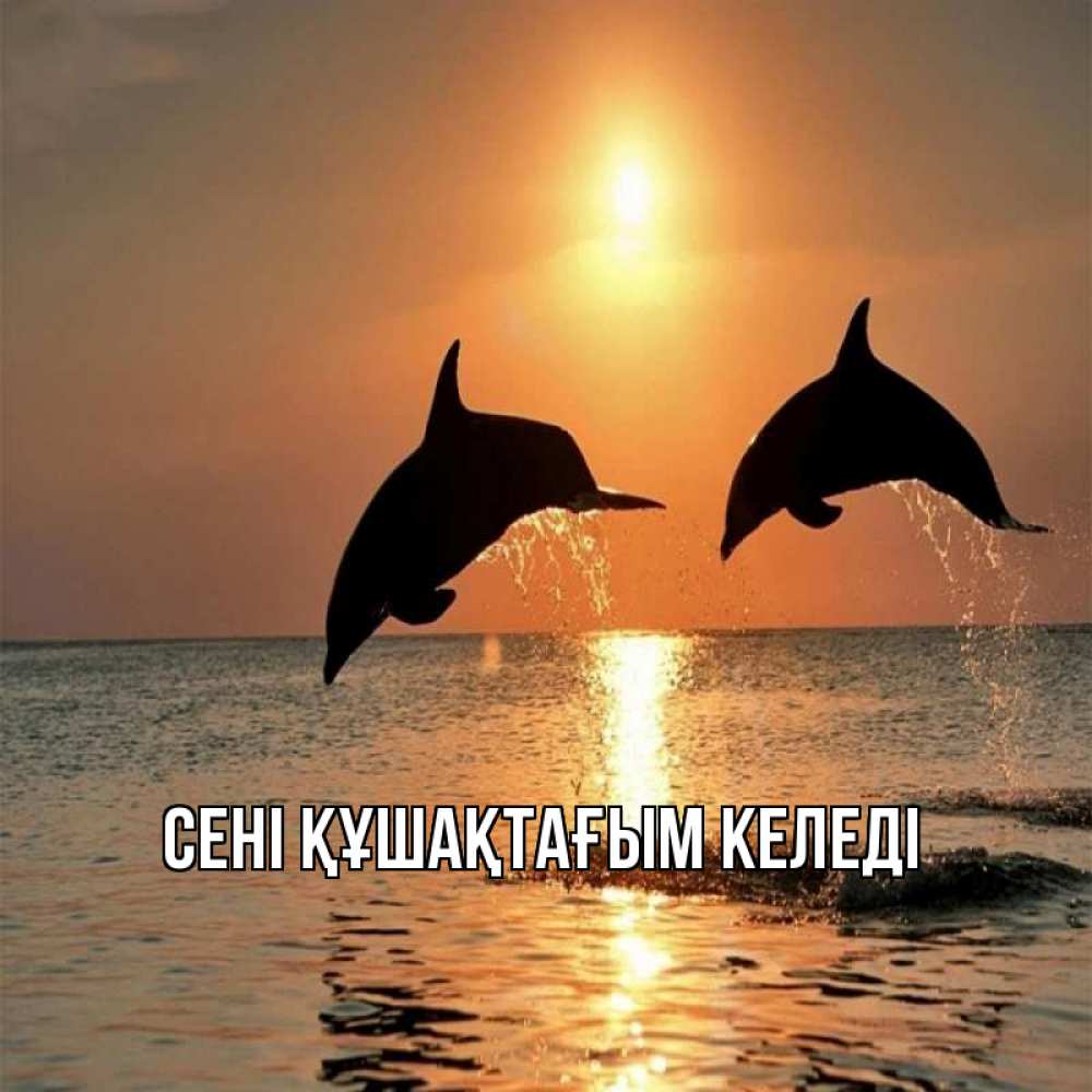 Күн сайын ашық хат с именем, выберите-имя сені құшақтағым келеді рыбы на закате Онлайн тегін жүктеп алу тілектері бар керемет карта 