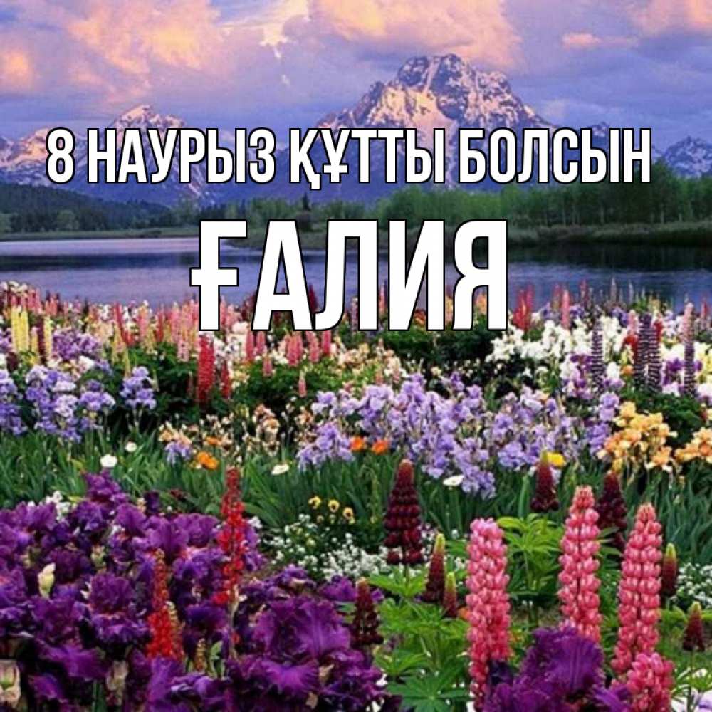 Күн сайын ашық хат с именем, ҒАЛИЯ 8 наурыз құтты болсын международный женский день Онлайн тегін жүктеп алу тілектері бар керемет карта 