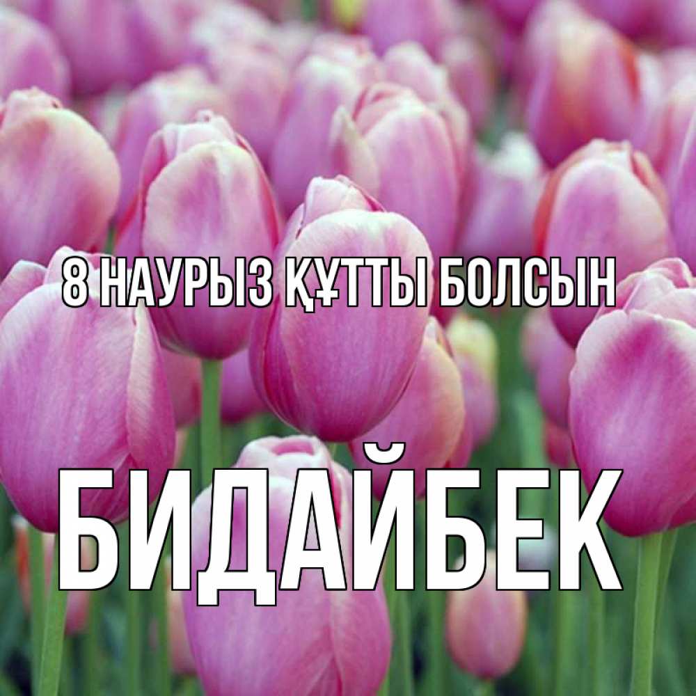 Күн сайын ашық хат с именем, Бидайбек 8 наурыз құтты болсын на международный женский день 3 Онлайн тегін жүктеп алу тілектері бар керемет карта 