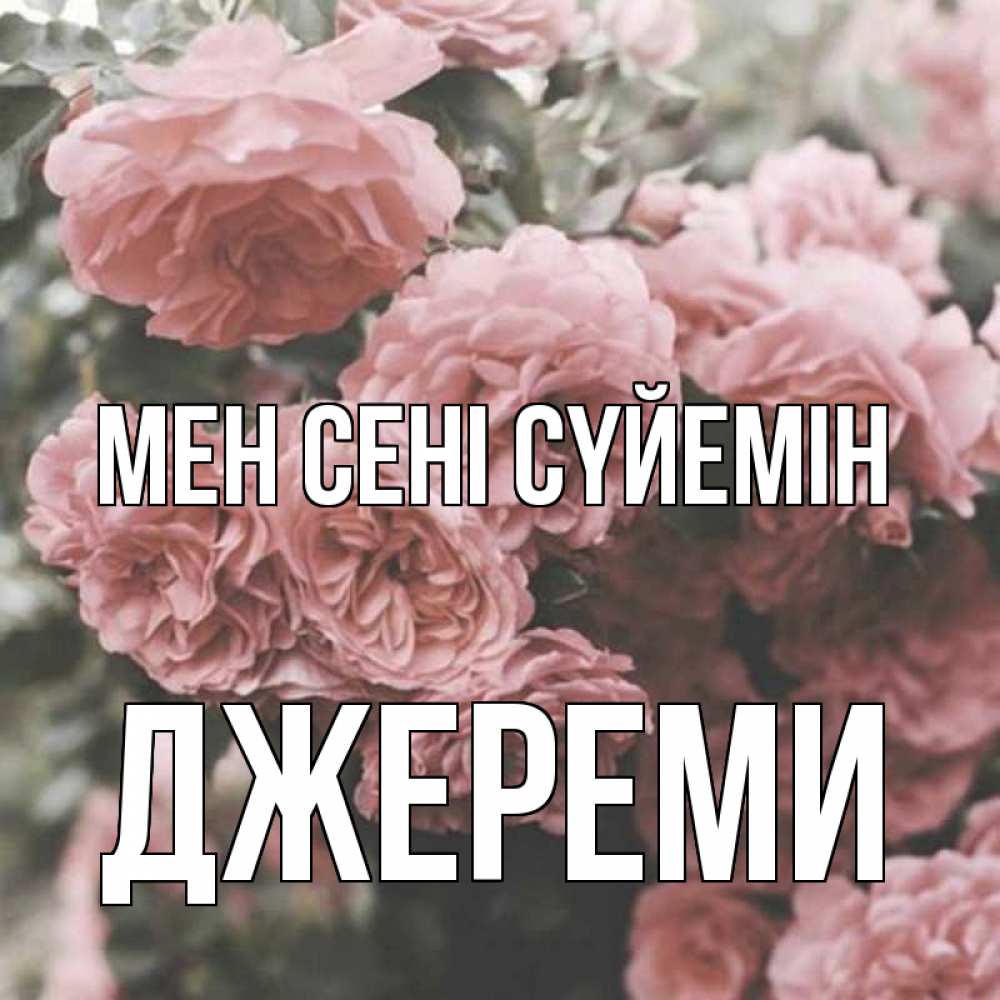 Күн сайын ашық хат с именем, Джереми Мен сені сүйемін розы 3 Онлайн тегін жүктеп алу тілектері бар керемет карта 