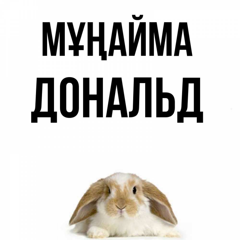 Күн сайын ашық хат с именем, Дональд Мұңайма коричнево белый заяц с большими ушками Онлайн тегін жүктеп алу тілектері бар керемет карта 