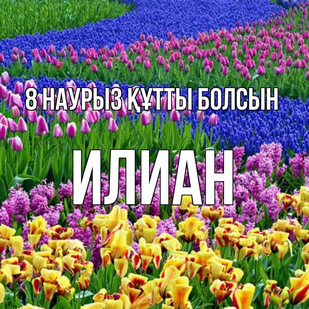 Күн сайын ашық хат с именем, Илиан 8 наурыз құтты болсын цветы Онлайн тегін жүктеп алу тілектері бар керемет карта 