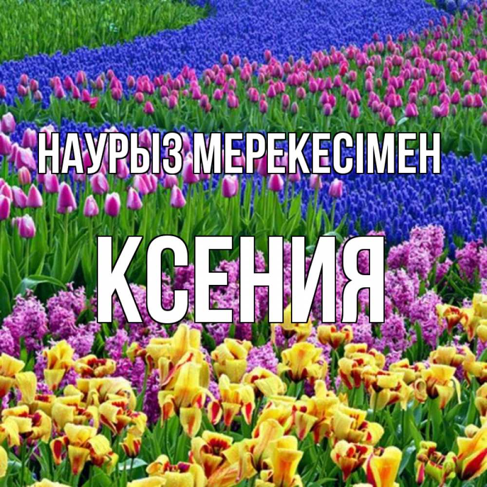 Күн сайын ашық хат с именем, Ксения Наурыз мерекесімен цветы Онлайн тегін жүктеп алу тілектері бар керемет карта 