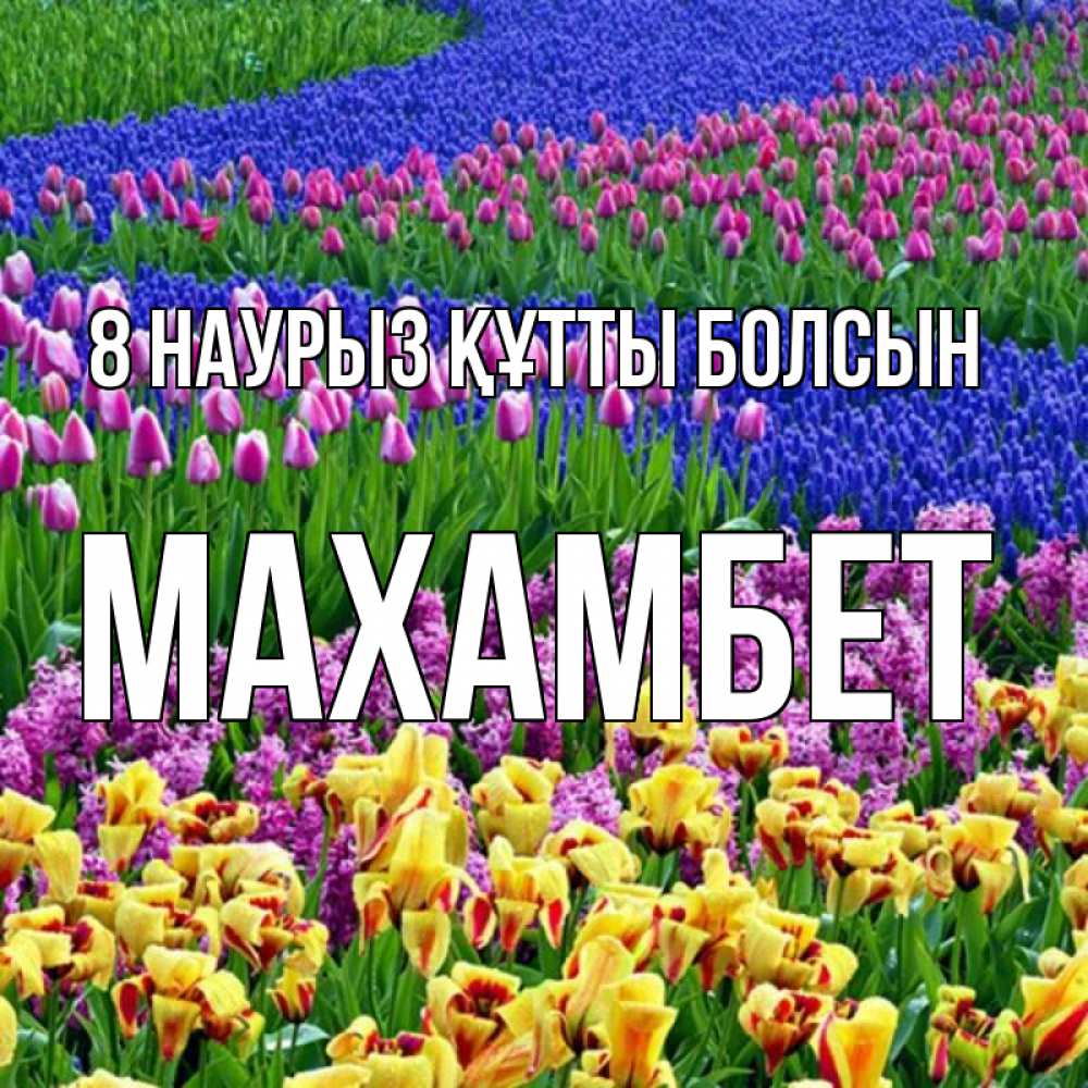 Күн сайын ашық хат с именем, МАХАМБЕТ 8 наурыз құтты болсын цветы Онлайн тегін жүктеп алу тілектері бар керемет карта 