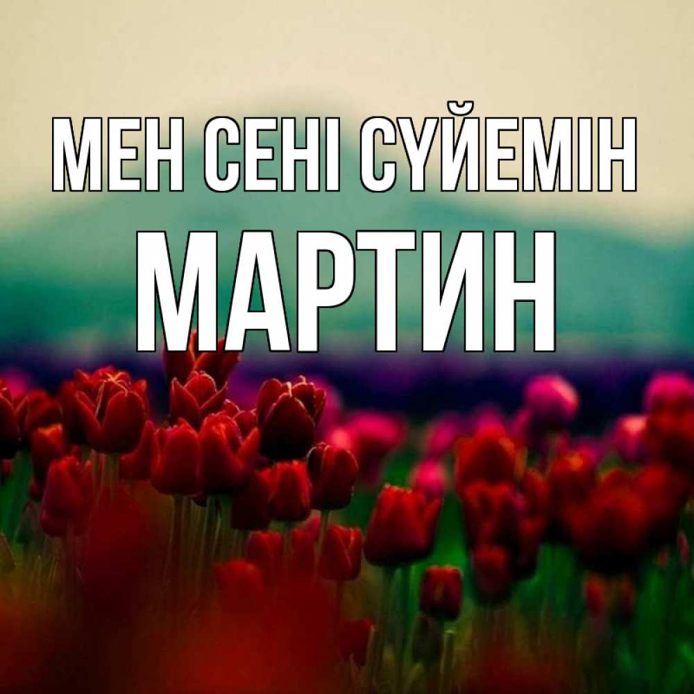 Күн сайын ашық хат с именем, Мартин Мен сені сүйемін тюльпаны 4 Онлайн тегін жүктеп алу тілектері бар керемет карта 