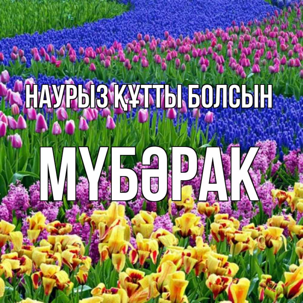 Күн сайын ашық хат с именем, МҮБӘРАК Наурыз құтты болсын цветы Онлайн тегін жүктеп алу тілектері бар керемет карта 