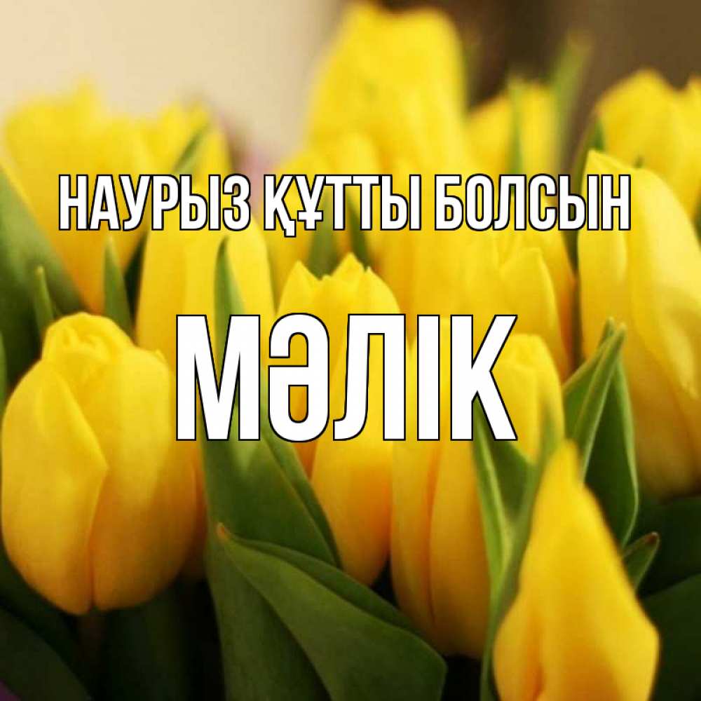 Күн сайын ашық хат с именем, МӘЛІК Наурыз құтты болсын цветы Онлайн тегін жүктеп алу тілектері бар керемет карта 