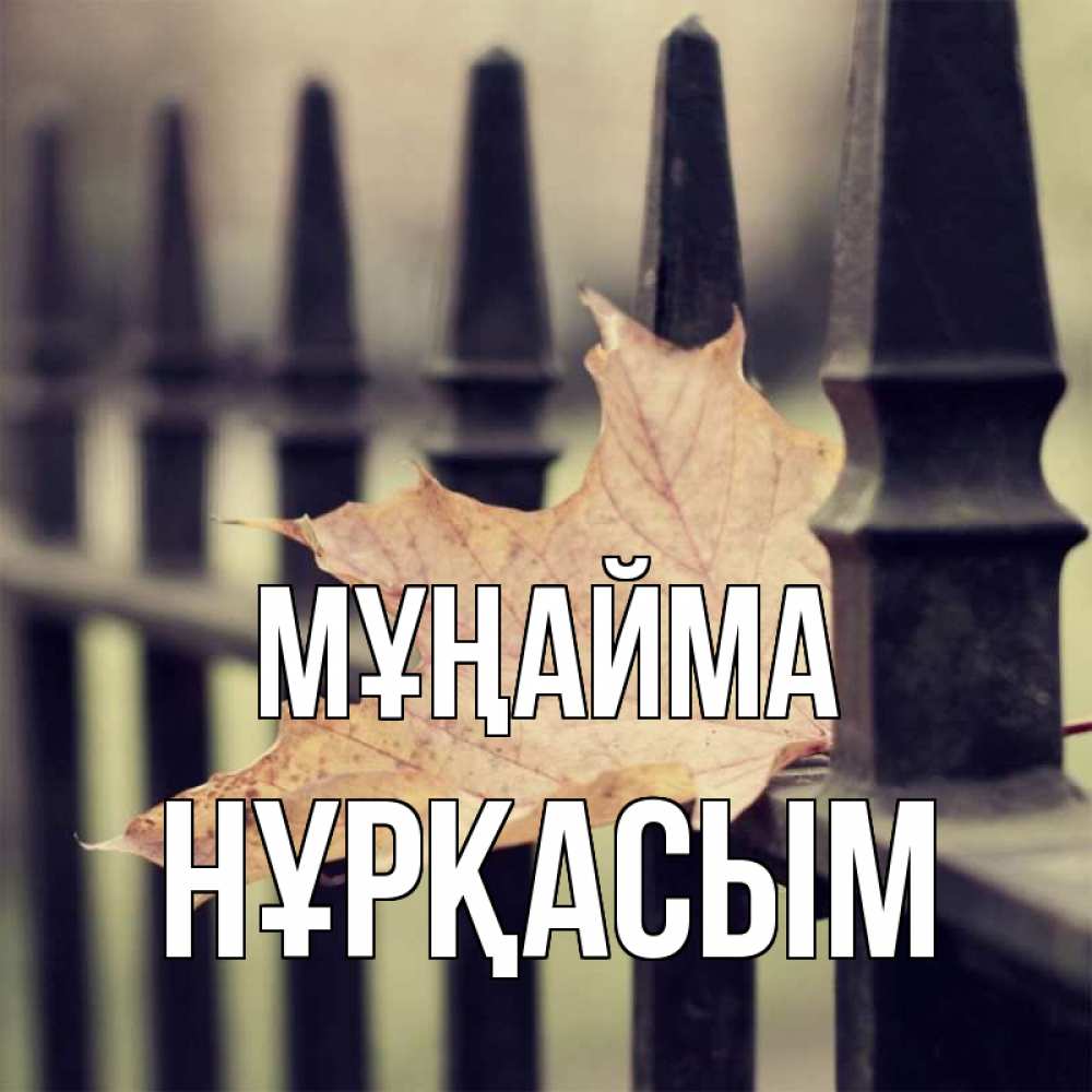 Күн сайын ашық хат с именем, НҰРҚАСЫМ Мұңайма лист клена Онлайн тегін жүктеп алу тілектері бар керемет карта 
