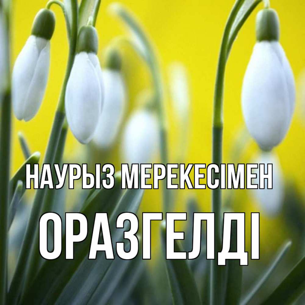 Күн сайын ашық хат с именем, ОРАЗГЕЛДІ Наурыз мерекесімен весенние цветы Онлайн тегін жүктеп алу тілектері бар керемет карта 