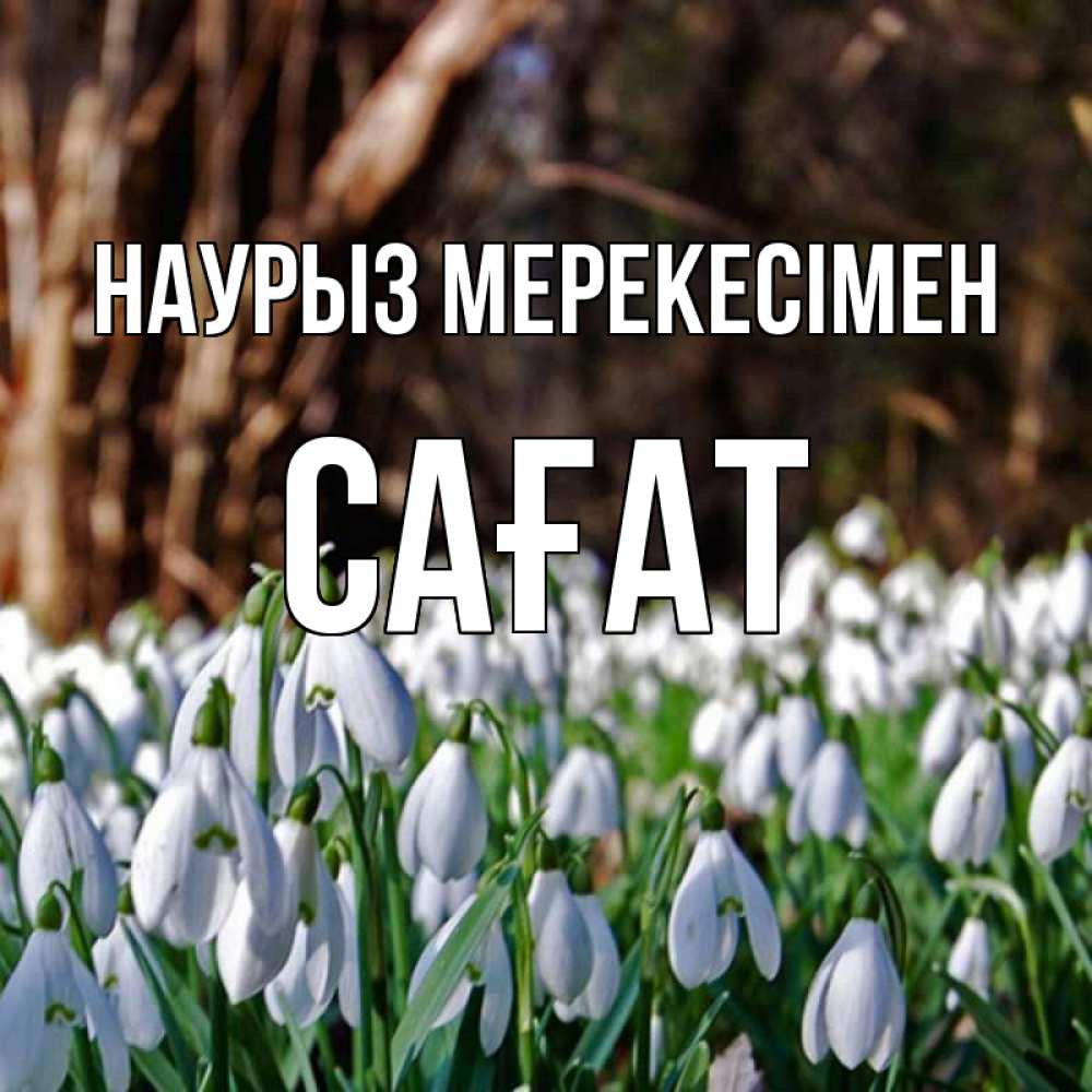 Күн сайын ашық хат с именем, САҒАТ Наурыз мерекесімен с подснежниками 1 Онлайн тегін жүктеп алу тілектері бар керемет карта 