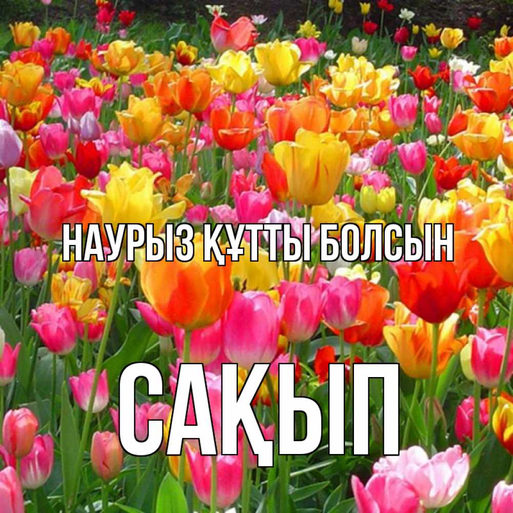 Күн сайын ашық хат с именем, САҚЫП Наурыз құтты болсын на наурыз  ура ура Онлайн тегін жүктеп алу тілектері бар керемет карта 