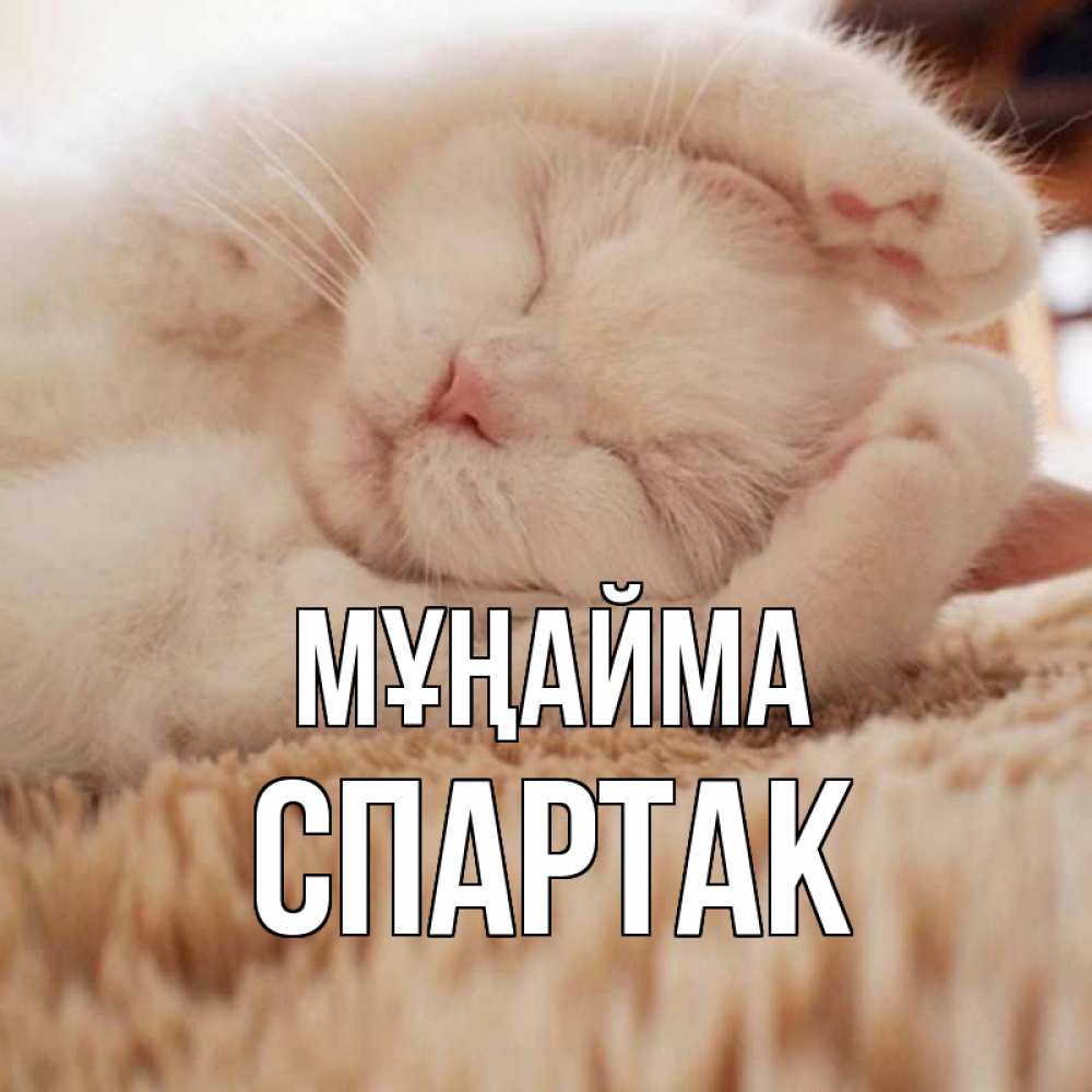 Күн сайын ашық хат с именем, Спартак Мұңайма белый кот Онлайн тегін жүктеп алу тілектері бар керемет карта 