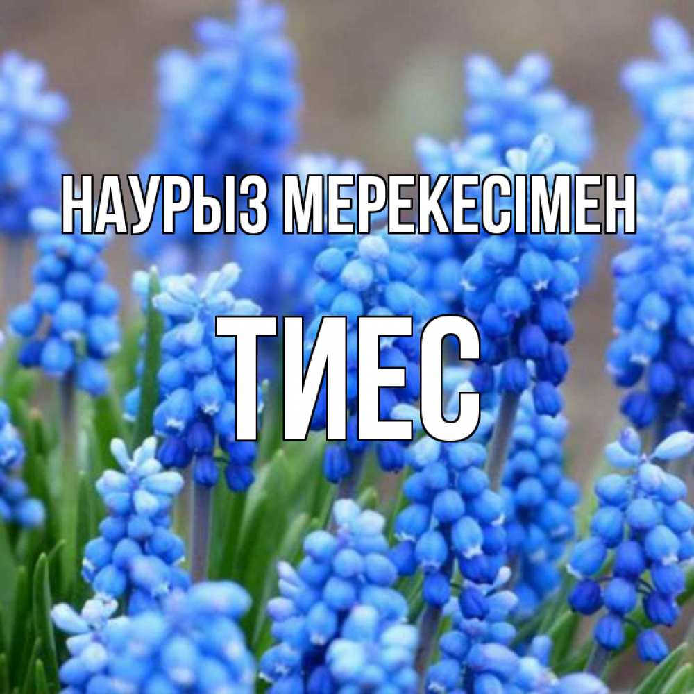 Күн сайын ашық хат с именем, ТИЕС Наурыз мерекесімен Поздравительная открытка для женщин с цветами на праздничную дату Онлайн тегін жүктеп алу тілектері бар керемет карта 