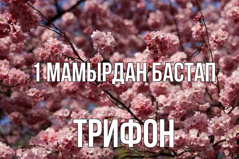 Күн сайын ашық хат с именем, Трифон 1 мамырдан бастап С 1 мая Онлайн тегін жүктеп алу тілектері бар керемет карта 