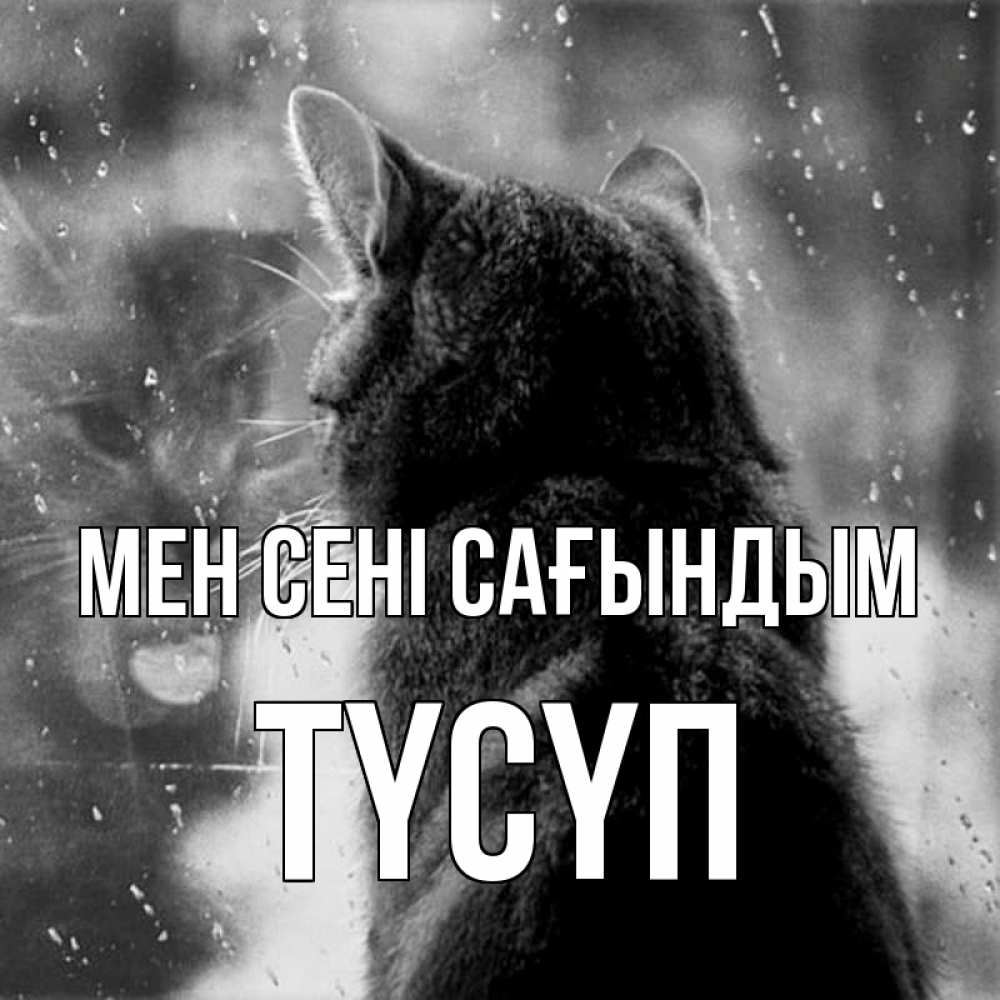 Күн сайын ашық хат с именем, ТҮСҮП Мен сені сағындым скорее ко мне приходи 1 Онлайн тегін жүктеп алу тілектері бар керемет карта 