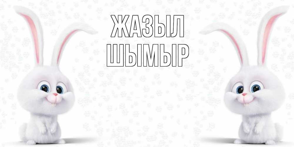 Күн сайын ашық хат с именем, ШЫМЫР Жазыл не болей с зайцем Онлайн тегін жүктеп алу тілектері бар керемет карта 