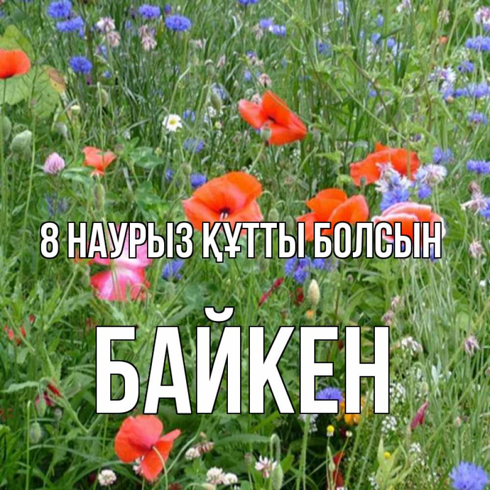 Күн сайын ашық хат с именем, Байкен 8 наурыз құтты болсын международный женский день 4 Онлайн тегін жүктеп алу тілектері бар керемет карта 