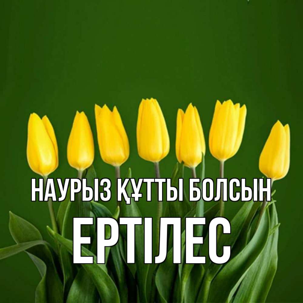 Күн сайын ашық хат с именем, Ертілес Наурыз құтты болсын желтого цвета 3 Онлайн тегін жүктеп алу тілектері бар керемет карта 