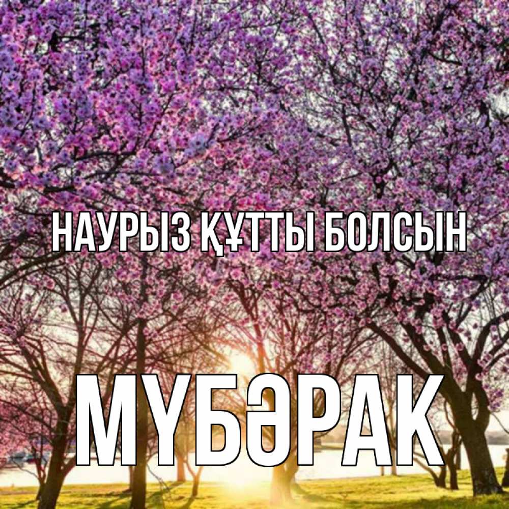 Күн сайын ашық хат с именем, МҮБӘРАК Наурыз құтты болсын наурыз Онлайн тегін жүктеп алу тілектері бар керемет карта 
