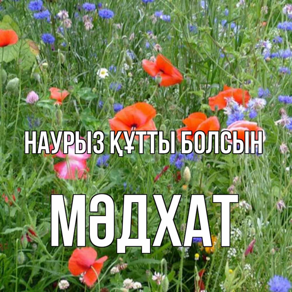Күн сайын ашық хат с именем, МӘДХАТ Наурыз құтты болсын наурыз  4 Онлайн тегін жүктеп алу тілектері бар керемет карта 