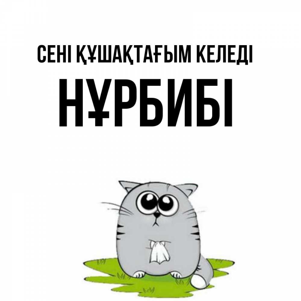 Күн сайын ашық хат с именем, НҰРБИБІ сені құшақтағым келеді котик теребит платочек сидя на травке Онлайн тегін жүктеп алу тілектері бар керемет карта 